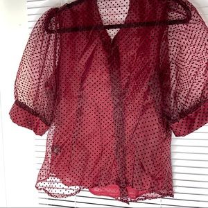 Burgundy Sheer Blouse